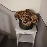 La Casa Del Girasole ססטרי לבאנטה