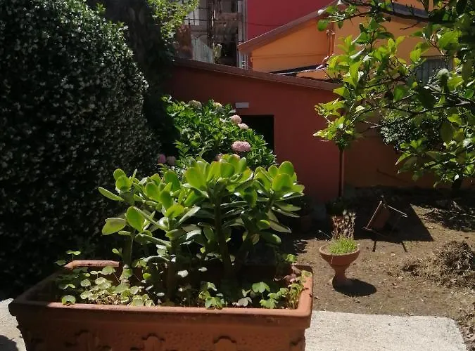 Apartment La Casa Del Girasole *